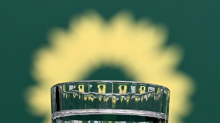 Gr&uuml;ne in Hamburg w&auml;hlen Abgeordnete Storm und Alam zu neuen Parteichefs