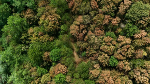Brandgefahr: THW fordert mehr Investitionen f&uuml;r Bev&ouml;lkerungsschutz