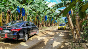 Nach Streik entl&auml;sst Tochter von Bananenkonzern Chiquita gesamte Belegschaft in Panama