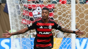 Bruno Henrique &eacute; suspenso por 12 jogos em caso de apostas