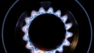 Il gas apre in lieve rialzo sul mercato di Amsterdam (+0,2%)
