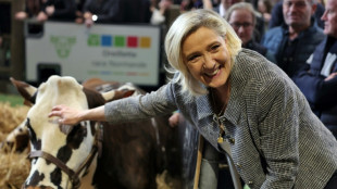 Frankreichs Rechtspopulistin Le Pen lässt sich von AfD-Chefin nicht überzeugen