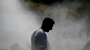 France presses ahead with street music festival despite extreme heat