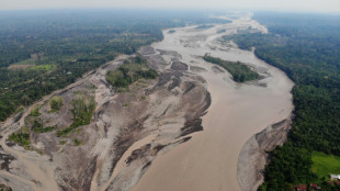 Derrame de crudo en reserva amazónica de Ecuador fue de 6.300 barriles