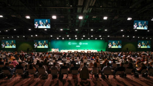 Proposta de 'redução' das energias fósseis na COP28 provoca crise em negociação da COP28