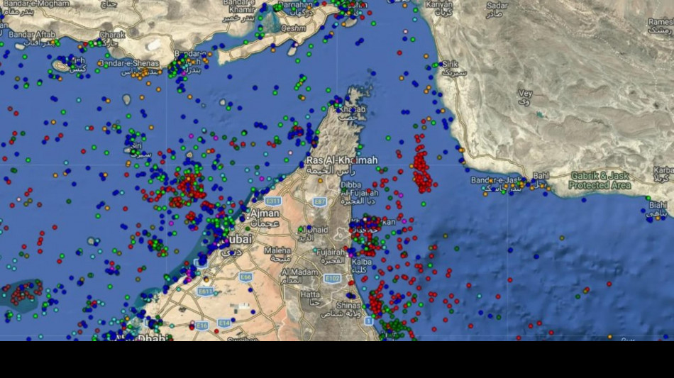  Il petrolio chiude in picchiata a New York a 94,41 dollari 