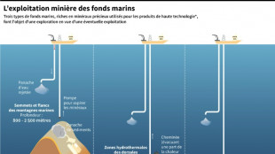 Extraction mini&egrave;re sous-marine: des r&egrave;gles attendues en 2025