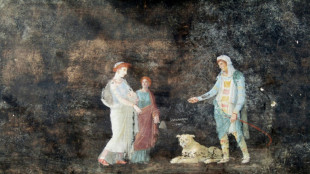 Descubrimiento en Pompeya de frescos inspirados en la guerra de Troya