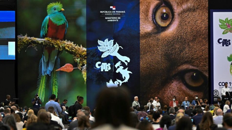 Cumbre de especies amenazadas arranca en Panamá con llamados a combatir tráfico
