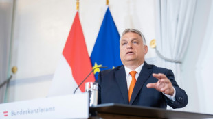 "M&eacute;lange des races": Orban d&eacute;fend "un point de vue culturel", Washington condamne