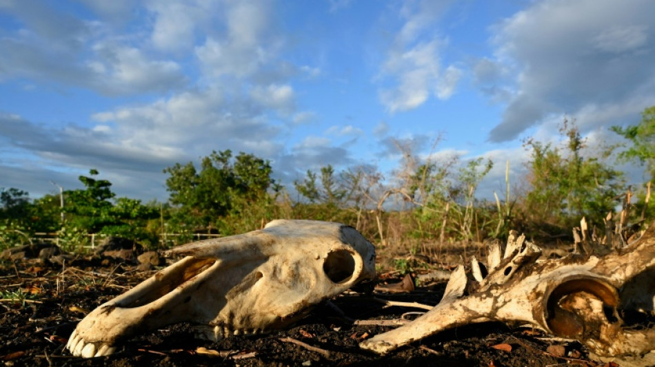  UN issues call to arms to combat off-the-charts El Nino 