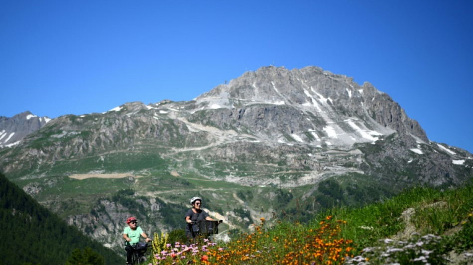 Savoie: des milliers de brins de g&eacute;n&eacute;pi et fleurs d'edelweiss saisis sur des randonneurs