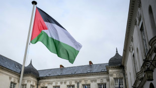 Gut 20 franz&ouml;sische B&uuml;rgermeister hissen pal&auml;stinensische Flaggen