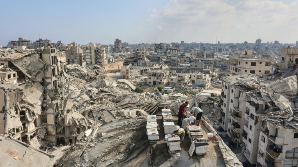  Datenbank: 2025 starben weltweit 350 humanit&auml;re Helfer - 186 davon im Gazastreifen 