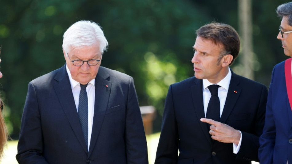  Steinmeier beginnt zweit&auml;gigen Staatsbesuch in Frankreich 