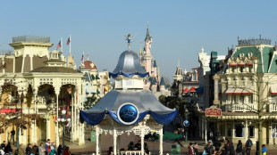 Weichenstellung: Zug bringt EU-Abgeordnete nach Disneyland statt nach Straßburg