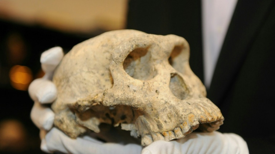  Restos de mulher gr&aacute;vida de 9 mil anos s&atilde;o encontrados na Su&eacute;cia 