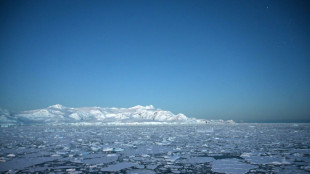 Copernicus bestätigt Rekordschmelze bei Meereis in der Antarktis