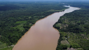 Enero de 2022, el mes más ardiente para la Amazonía colombiana en una década