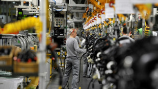 US tariffs hit Central Europe, Balkans growth: Europe bank