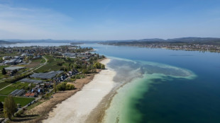 Germany sees 'worrying' record dry spell in early 2025