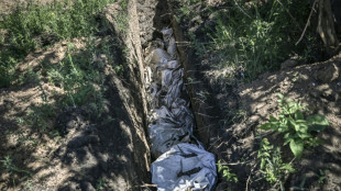 Ucrania ataca posiciones rusas en el sur y "resiste" en la batalla clave del Donb&aacute;s