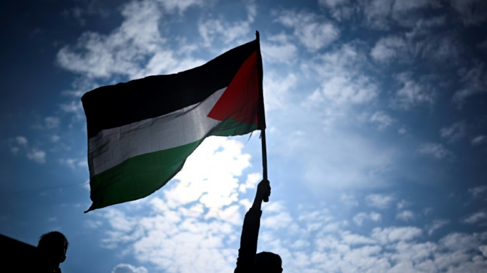 Mobilisations propalestiniennes: 86 personnes plac&eacute;es en garde &agrave; vue 