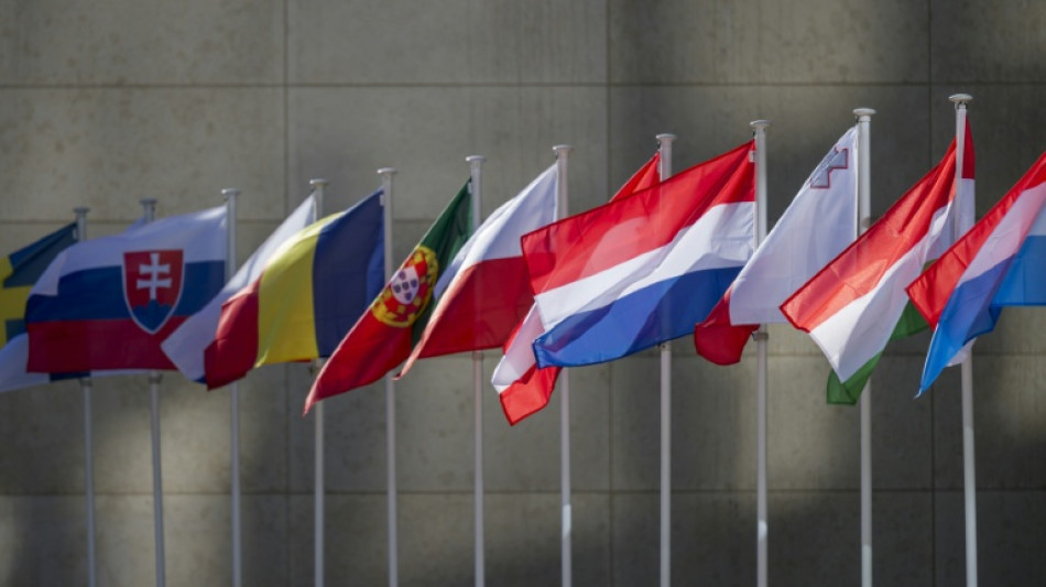 Zone euro: l'activité économique en plus forte croissance en juillet (PMI Flash)