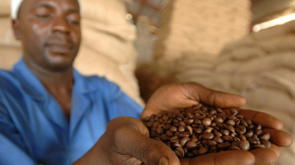  38 Euro pro Kopf f&uuml;r Fairtrade-Produkte: Umsatz erreicht 2025 neues Rekordhoch 