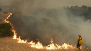 Inc&ecirc;ndios sem controle devastam Espanha e Fran&ccedil;a e for&ccedil;am evacua&ccedil;&atilde;o de 260.000 pessoas