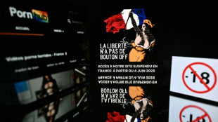Cinq sites pornographiques ont pris des mesures de v&eacute;rification d'&acirc;ge