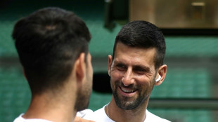 Alcaraz defende seu trono em Wimbledon; Djokovic luta pelo t&iacute;tulo ap&oacute;s les&atilde;o