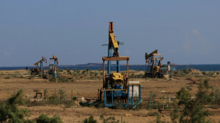 Avec la COP29, l'Azerbaïdjan pétrolier affecte une image verte