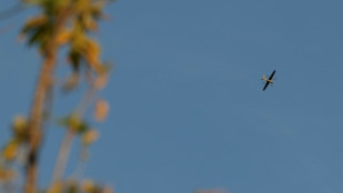 Rusia afirma que tom&oacute; tres pueblos en el este de Ucrania