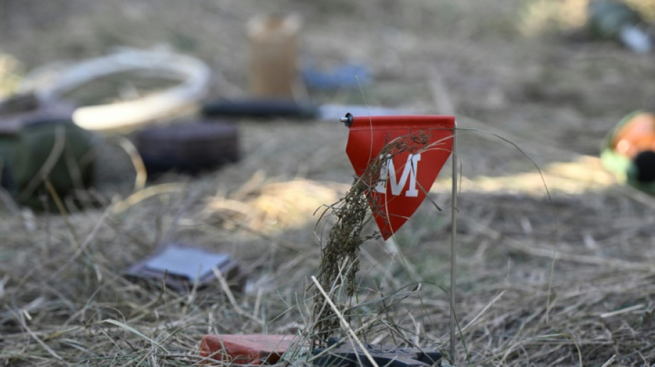 Finland to withdraw from anti-personnel mine ban treaty
