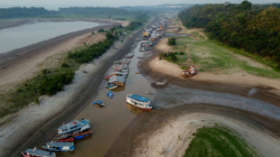 Studie: Klimawandel trug entscheidend zu Dürre im brasilianischen Amazonas-Gebiet bei