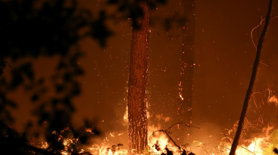  UN says world must navigate 'reality' of 1.5C overshoot 
