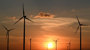 Netzentgelte sinken "sp&uuml;rbar" in Regionen mit viel Wind- und Solarstrom