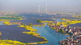China says wind and solar energy capacity exceeds thermal for first time