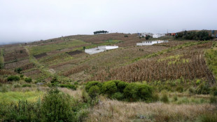 Guatemala state of siege extended for feuding communities