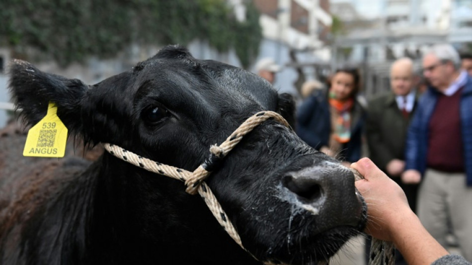 Bulle t&ouml;tet 45-J&auml;hrigen auf Bauernhof in Hessen