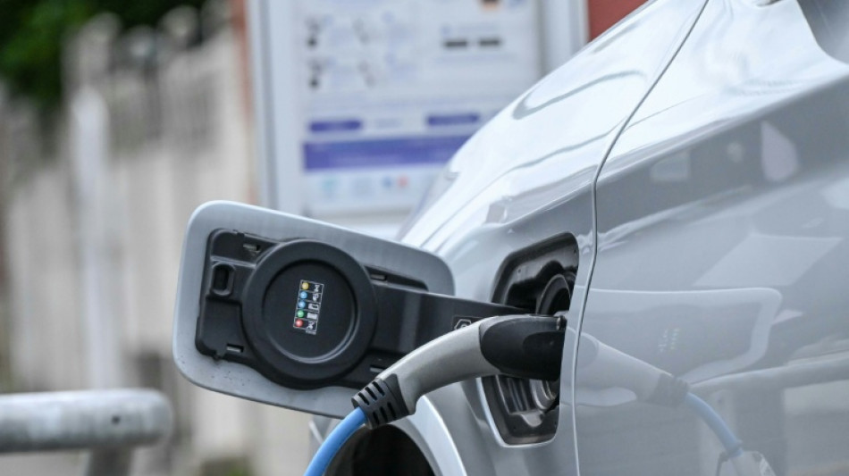  La part des voitures &eacute;lectriques au plus haut en France dans un march&eacute; d&eacute;prim&eacute; 