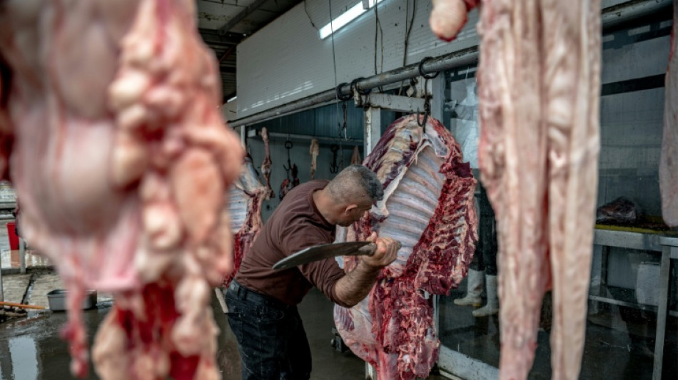  Condenado a 10 a&ntilde;os de c&aacute;rcel un carnicero iraqu&iacute; por vender cerdo en ciudad santa 