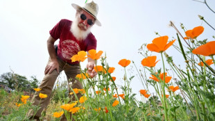 A Los Angeles, le retour des fleurs apaise la douleur des incendies