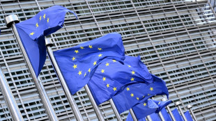 Objectifs climatiques: l'Europe sous pression avant la COP au Brésil