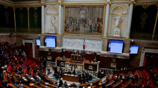 Les d&eacute;put&eacute;s entament dans la douleur l'examen du projet de loi simplification