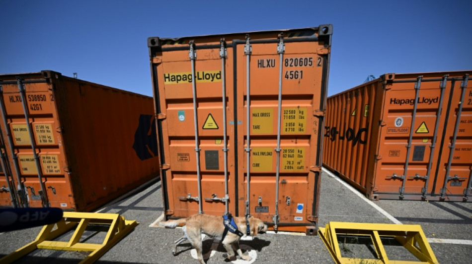 Zoll entwickelt neue Methode zur Drogensuche mit Spürhunden in Frachtcontainern