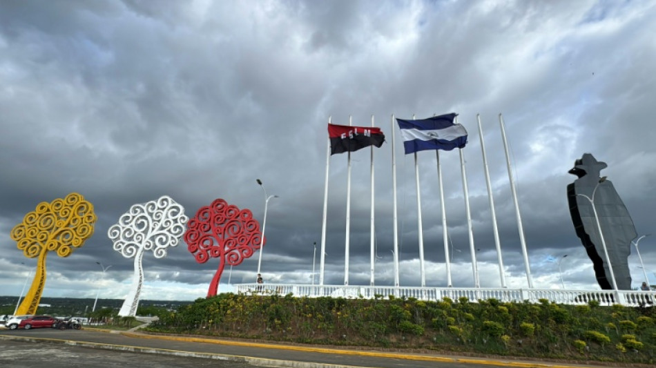  EEUU y pa&iacute;ses aliados en la OEA piden una reuni&oacute;n extraordinaria de cancilleres sobre Nicaragua 