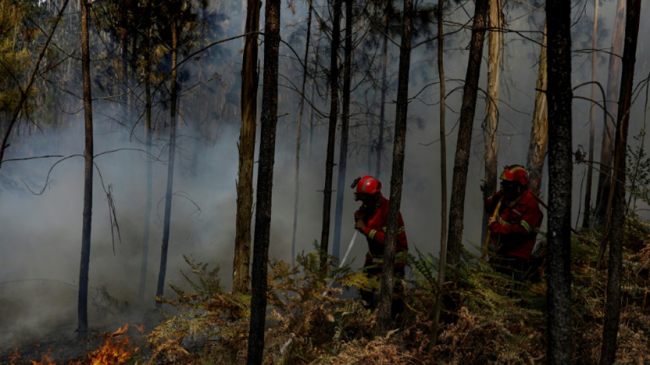 Incendios se extienden por sur de Europa, pico de calor en la península ibérica