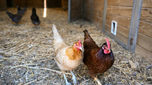 Verwaltungsaufwand: EU-Kommission schl&auml;gt weitere Zugest&auml;ndnisse an Bauern vor